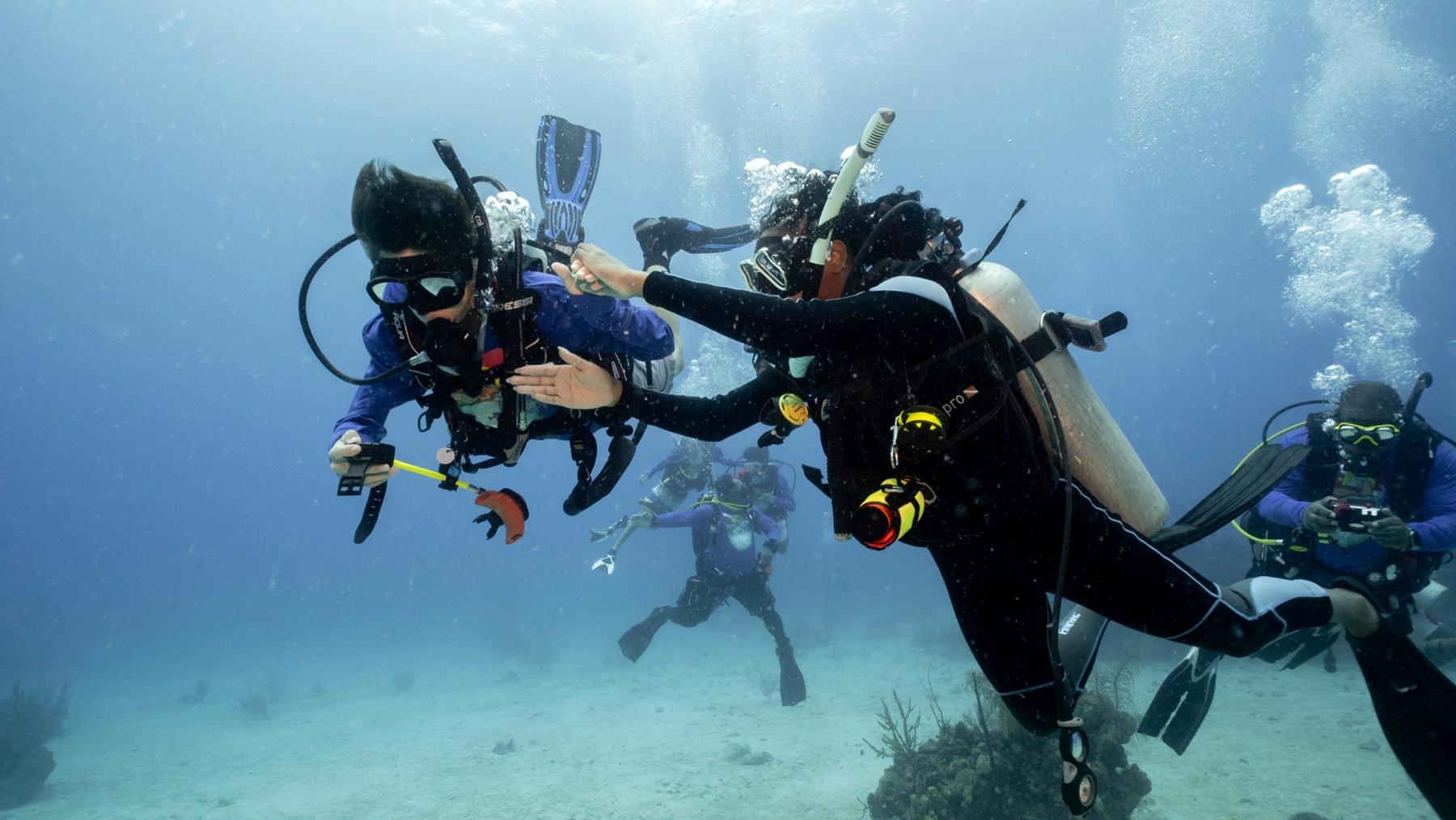 Diver exploring a healthy reef wall