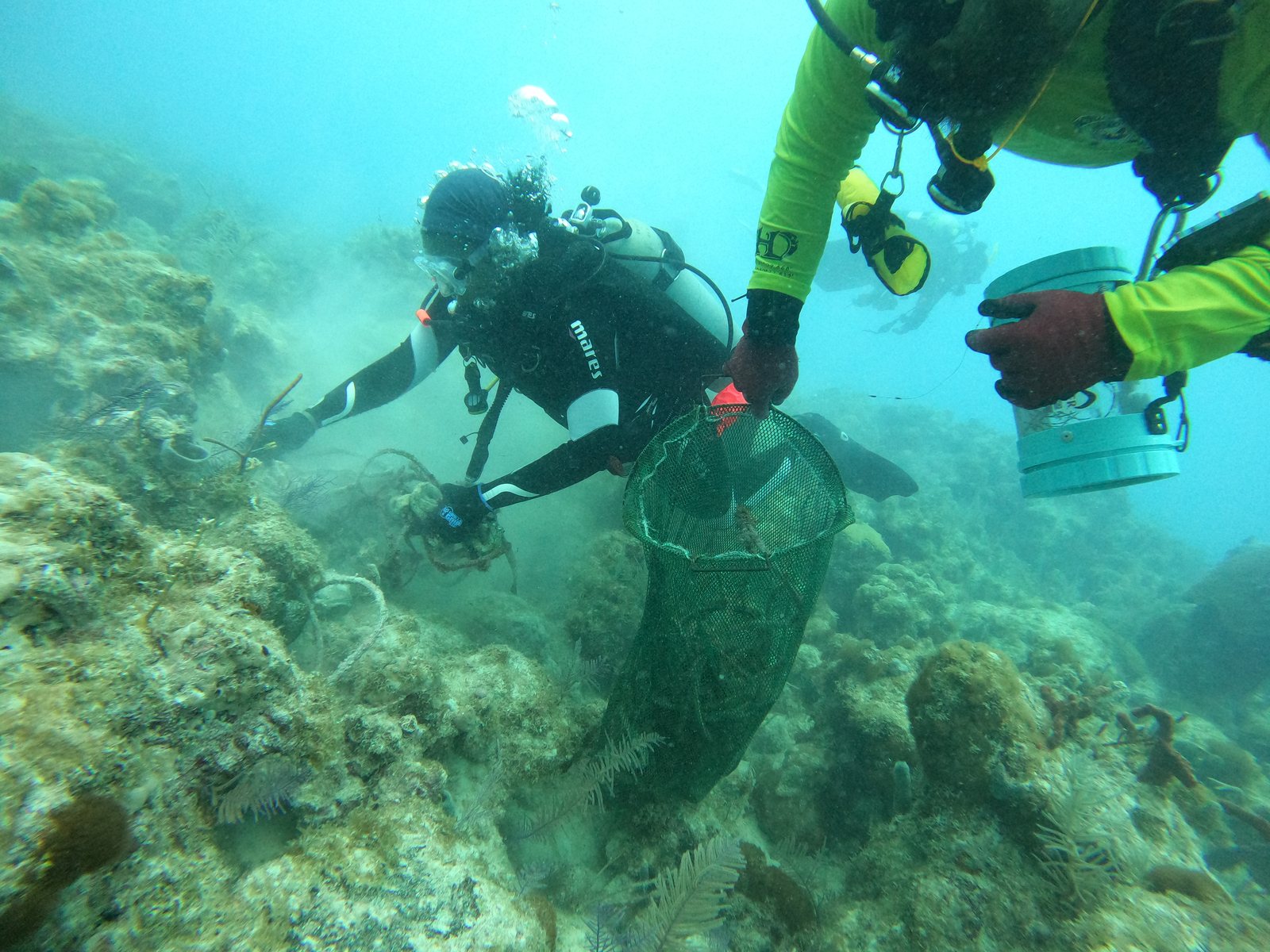 Adult diver working on reef habitat