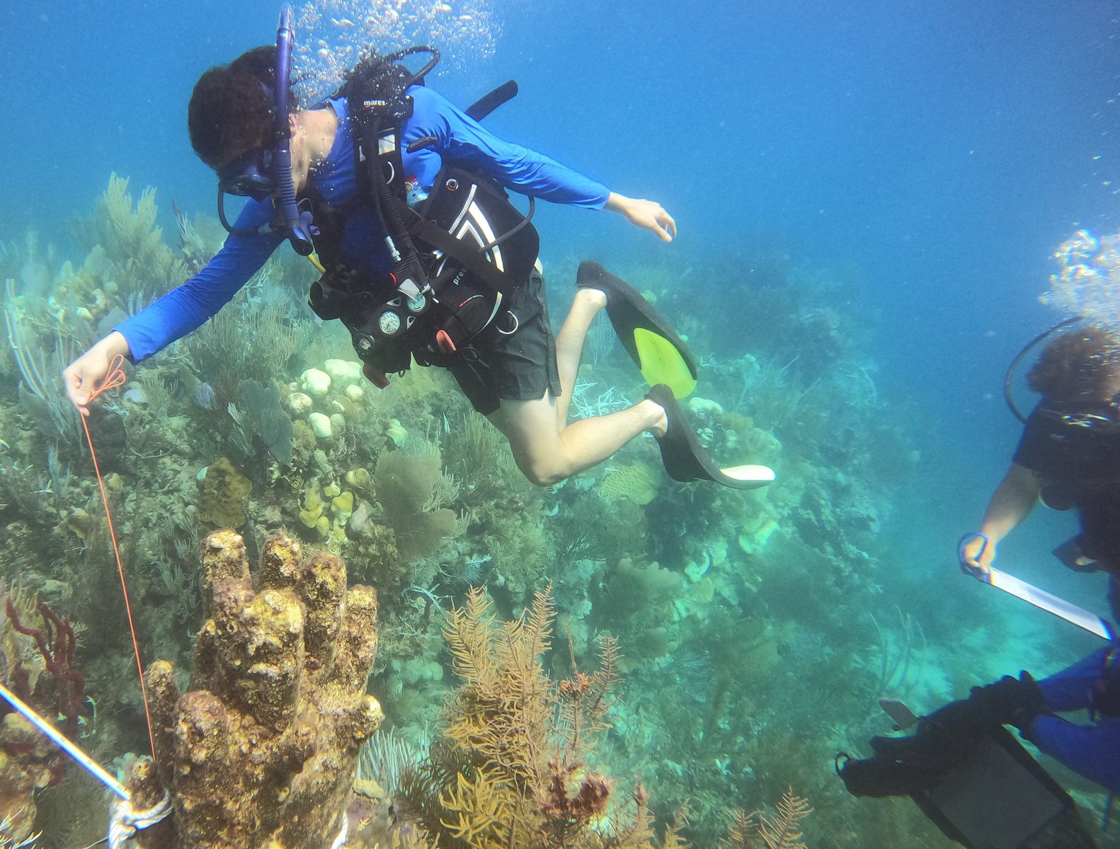 Diver supporting reef work