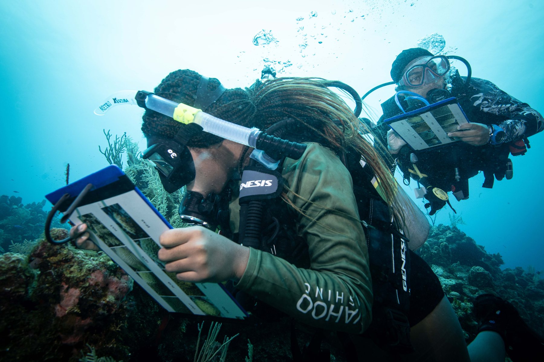 Affiliate support training underwater
