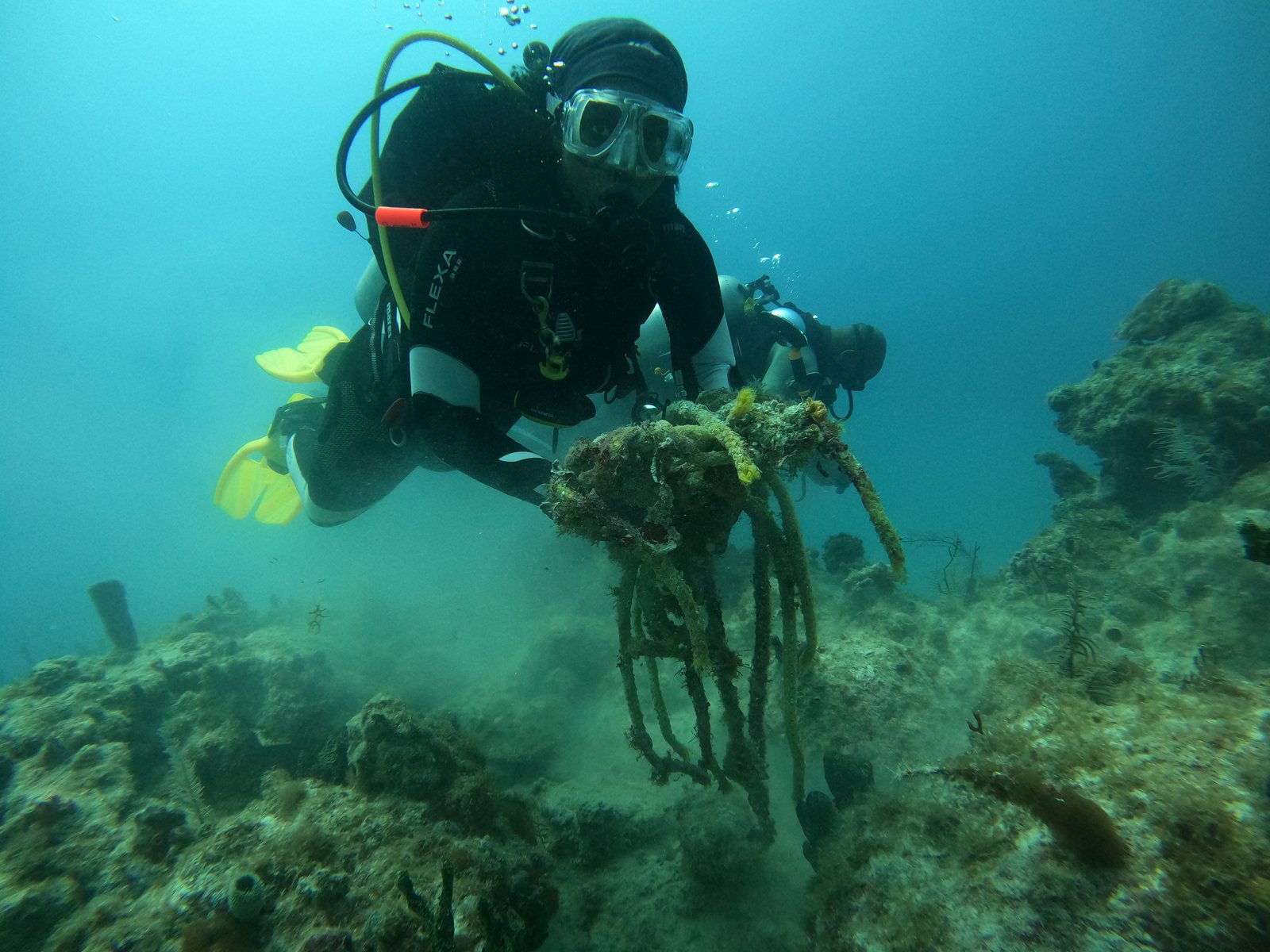 Diver above coral habitat