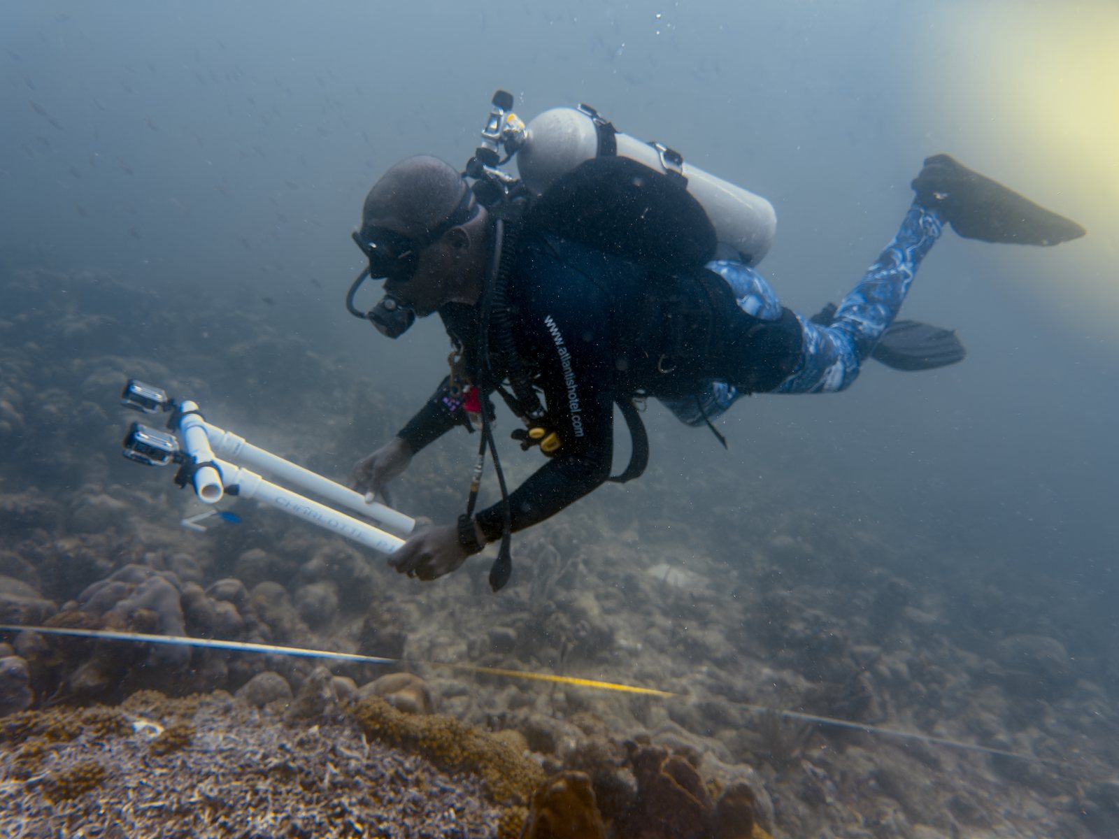Conservation diver underwater