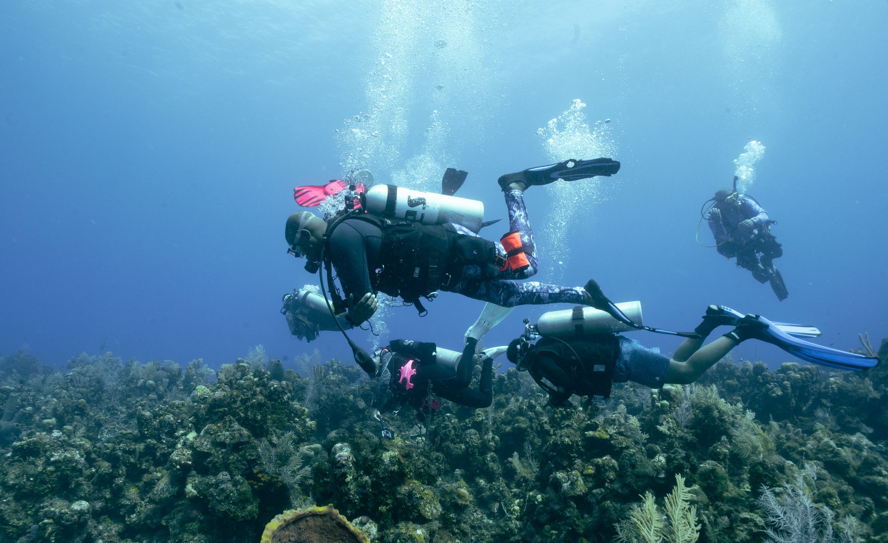 DTI CARES divers working together on a reef