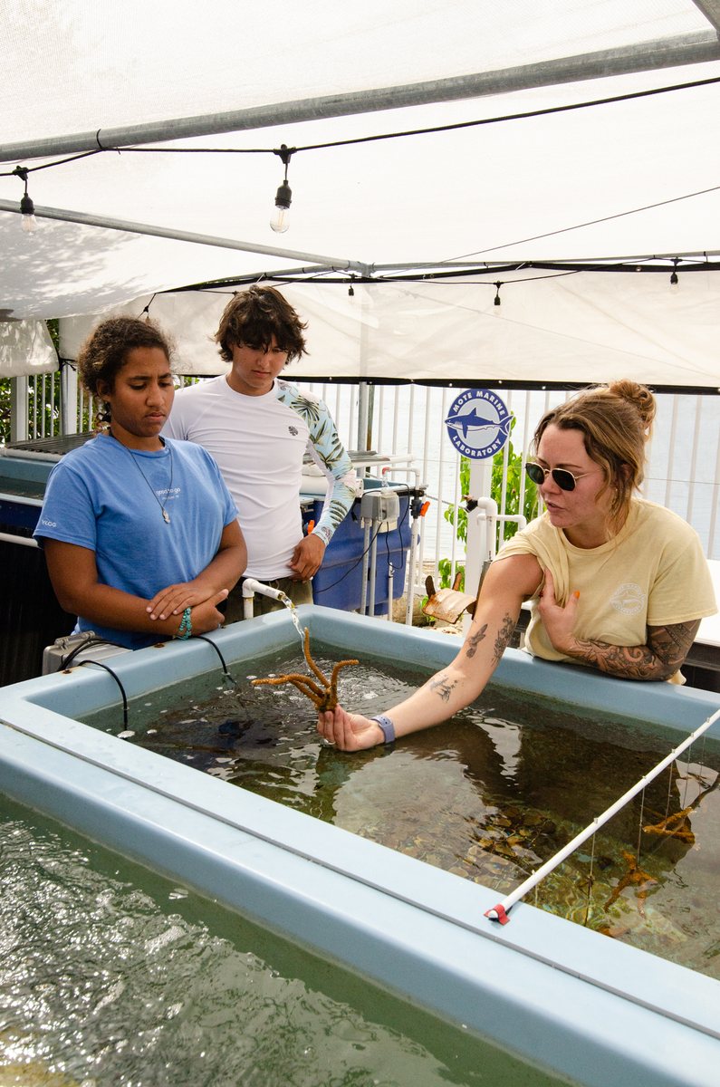 Participants learning coral science
