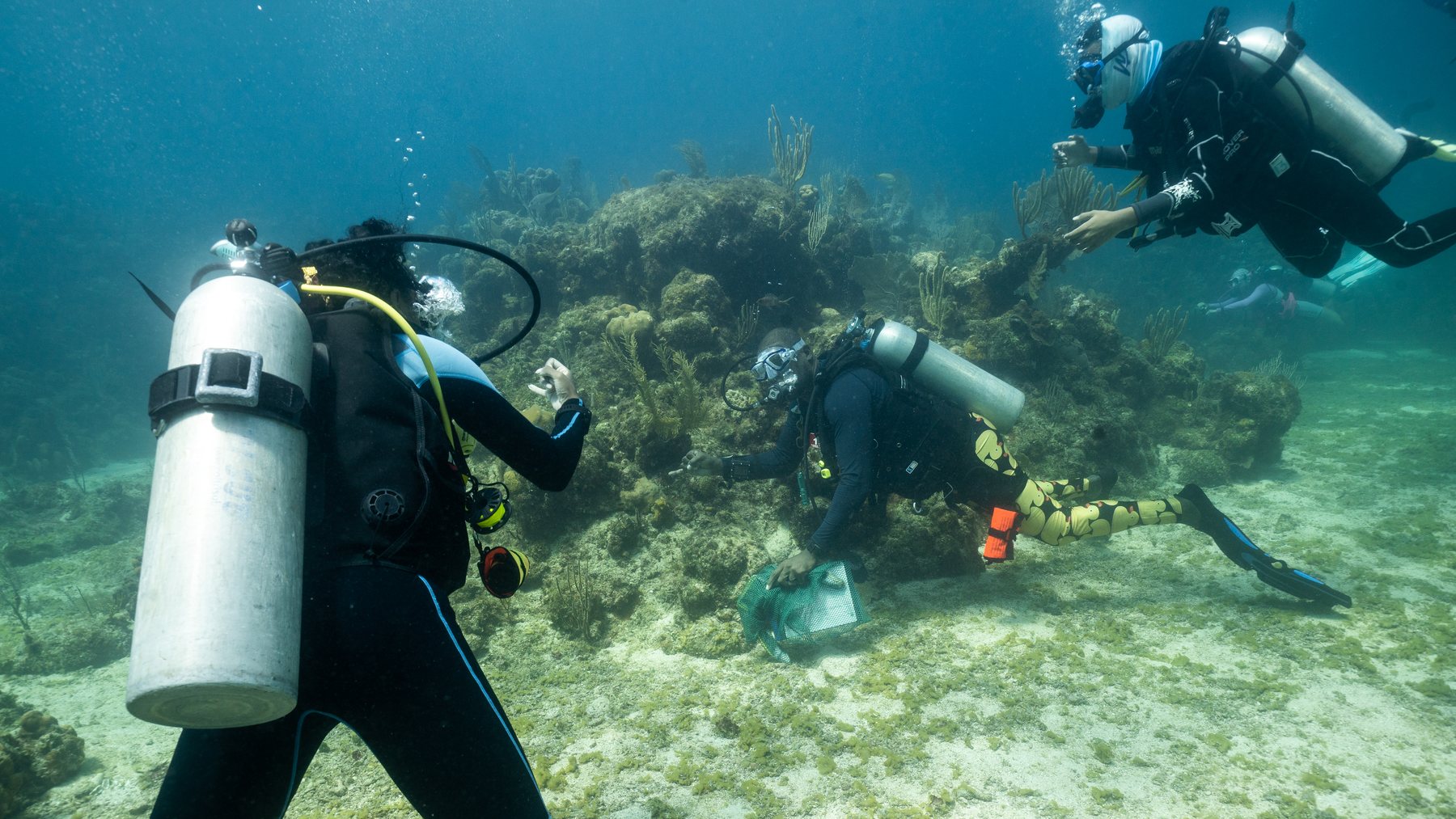 Diver documenting field data underwater