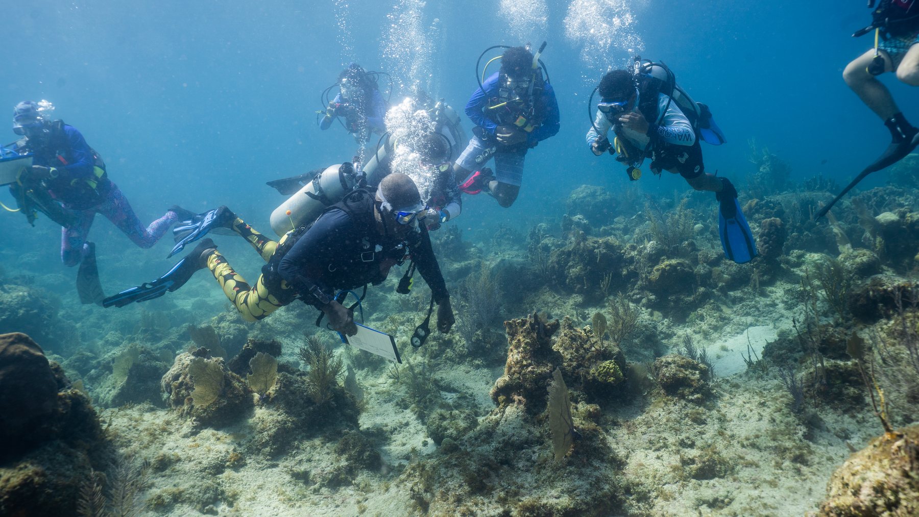 Trip divers underwater