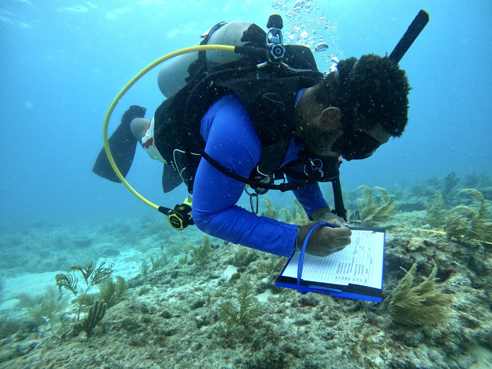 Conservation diver documenting reef work