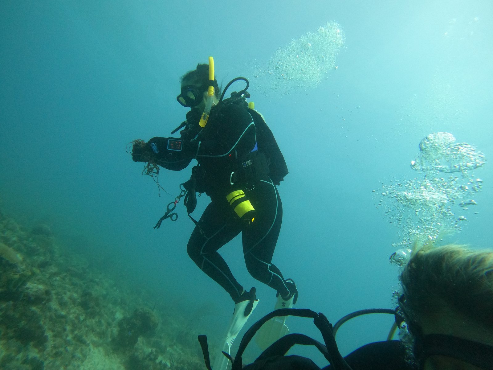 Diver above a coral reef