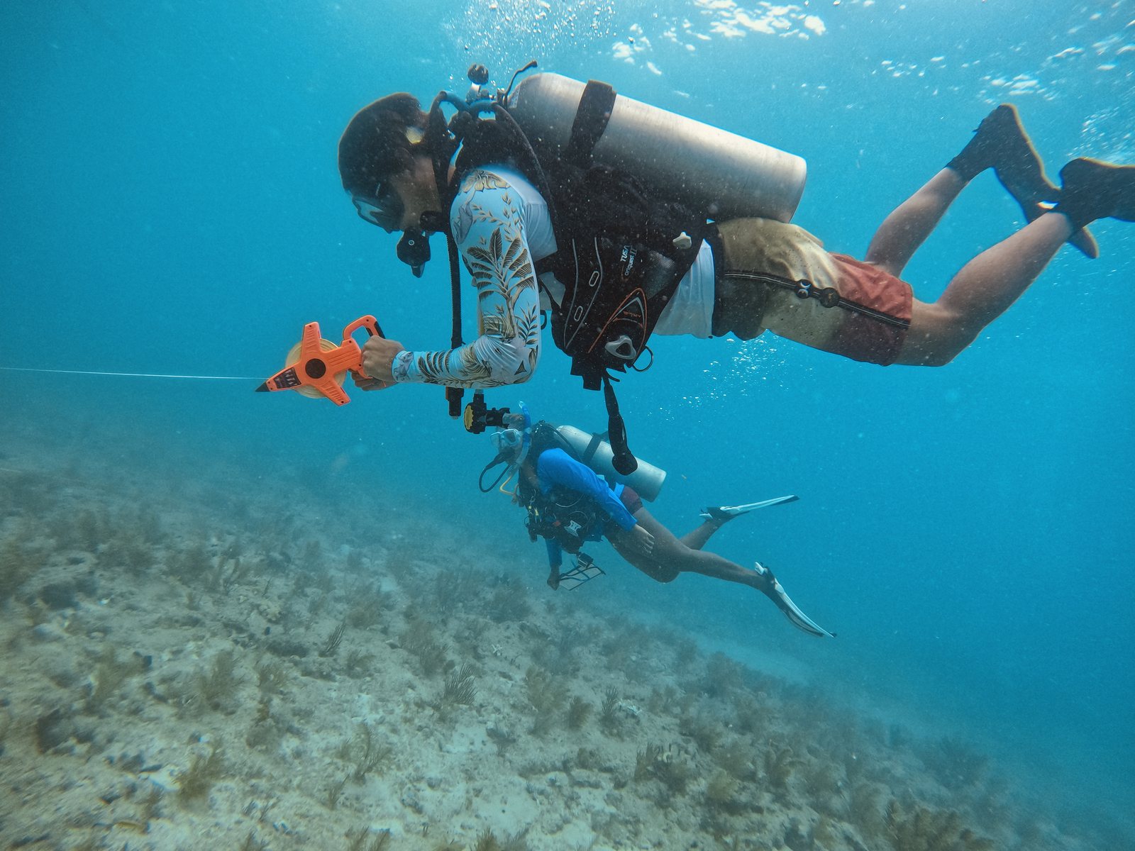 Diver conducting a reef transect