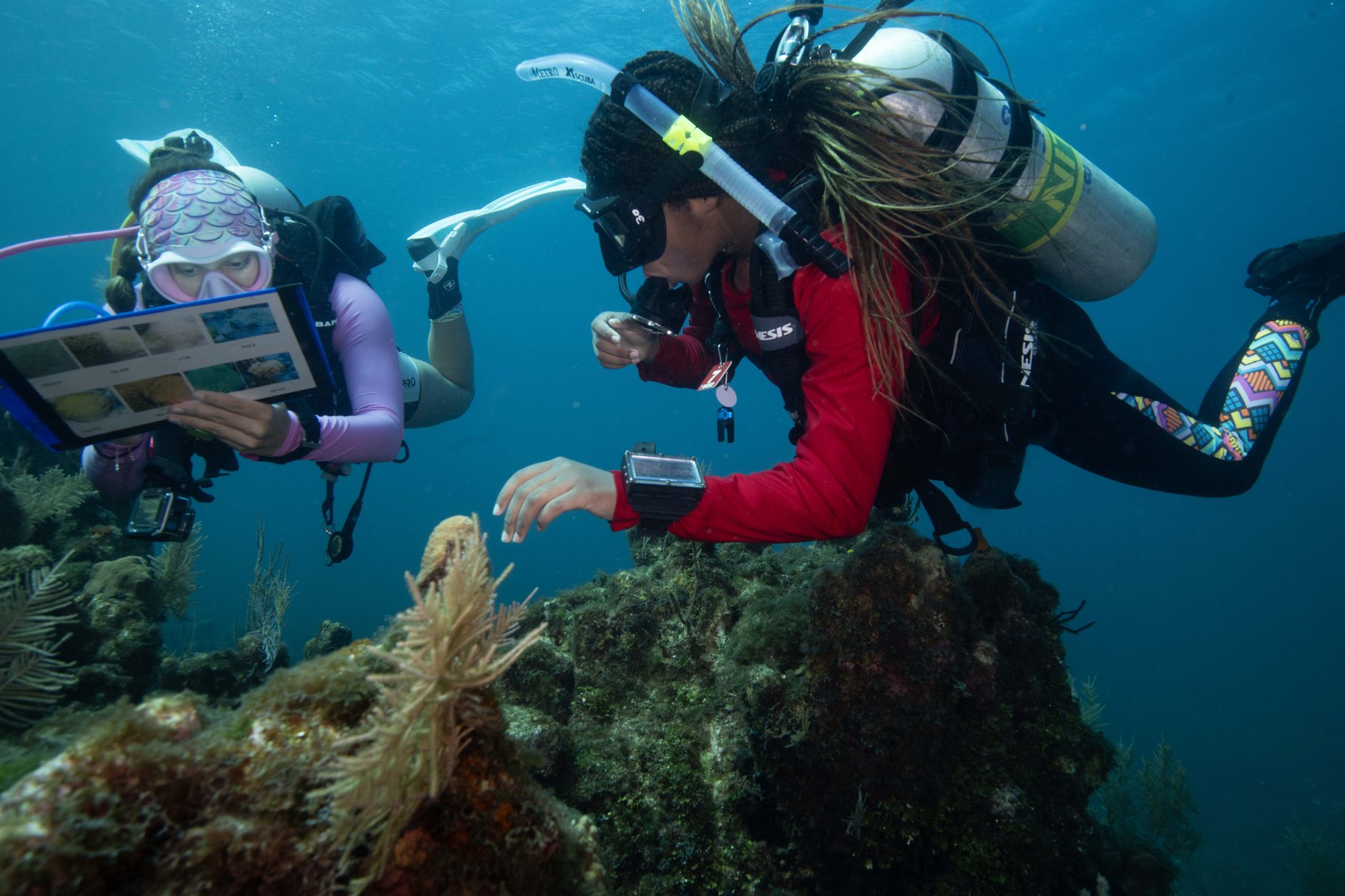 Youth divers completing conservation work