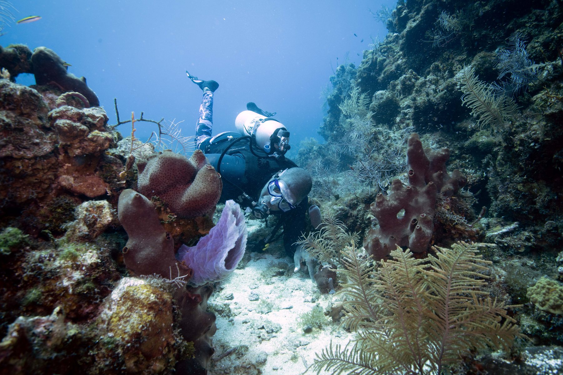 Youth trip participants underwater