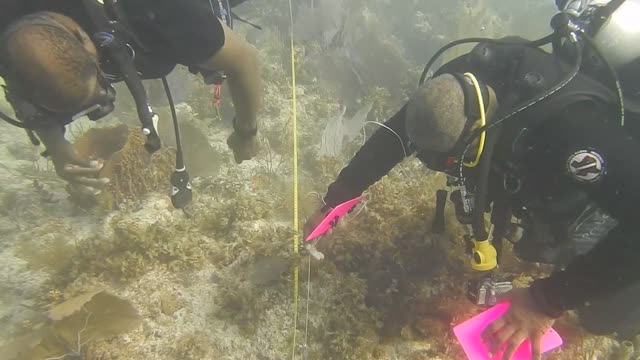 A healthier ocean for future generations.