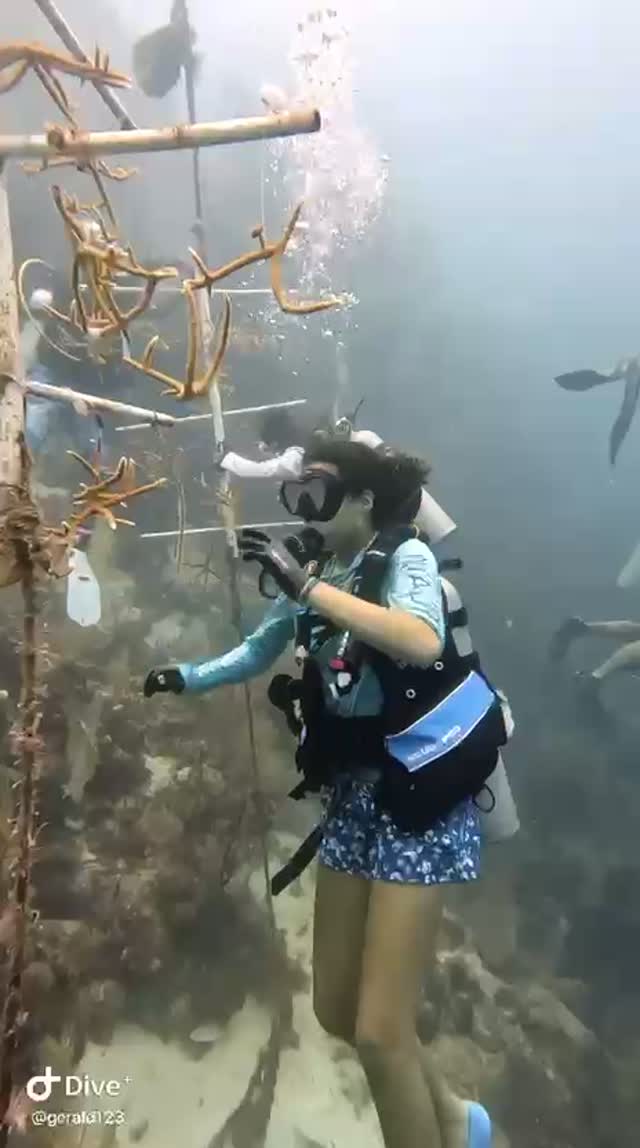 Protecting marine biodiversity.